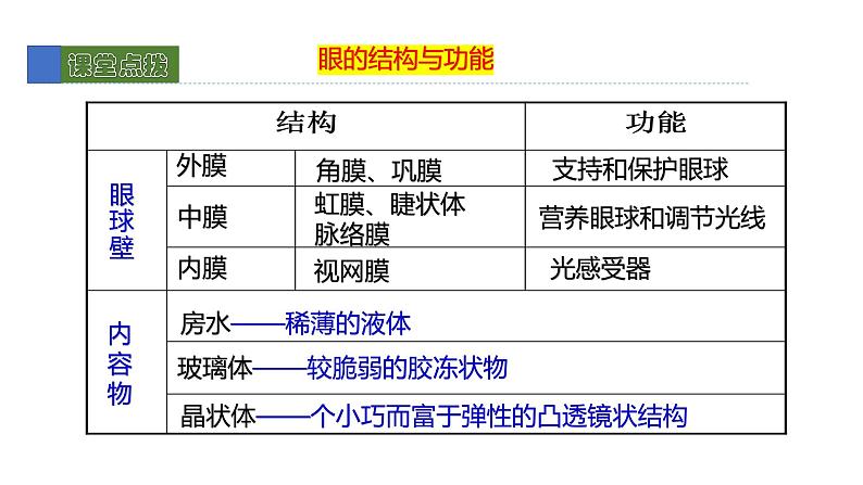 12.2感受器和感觉器官1 课件 北师大版七年级生物下册07