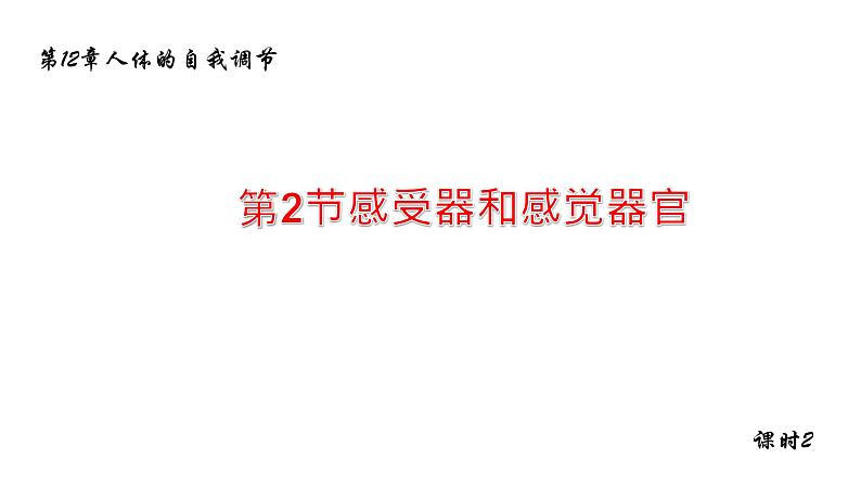 12.2感受器和感觉器官2 课件 北师大版七年级生物下册01