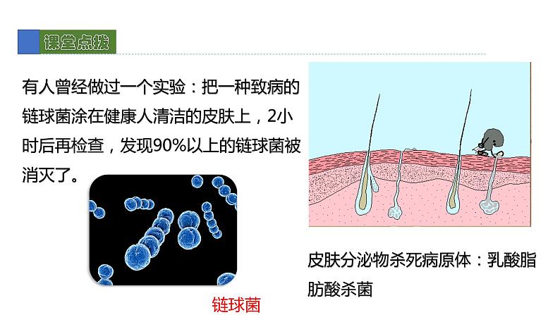 13.3人体免疫 课件 北师大版七年级生物下册第5页