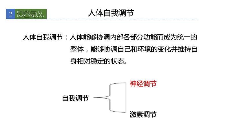 12.1神经系统和神经调节 课件 北师大版七年级生物下册04