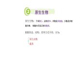 22.2 原生生物 课件 北师大版八年级下册生物