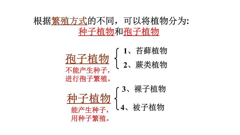 22.3 植物的主要类群课时2 课件 北师大版八年级下册生物第7页