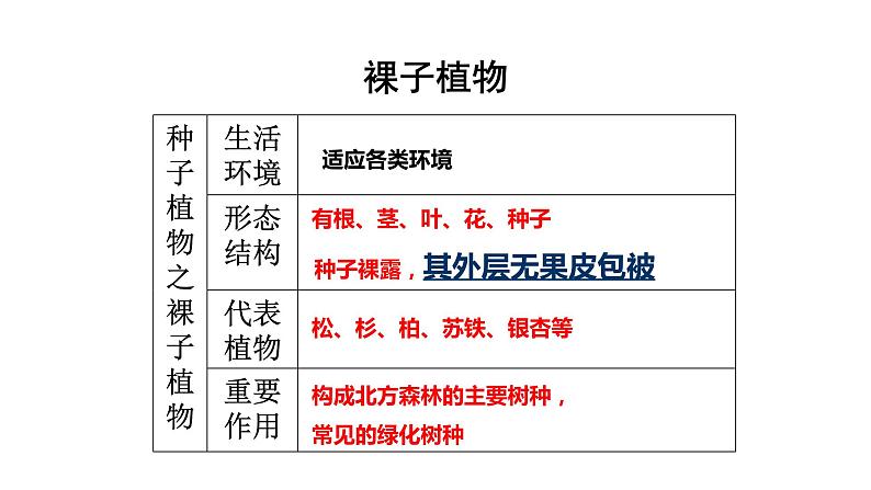 22.3 植物的主要类群课时2 课件 北师大版八年级下册生物第8页