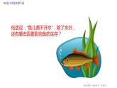 23.1 生物的生存依赖一定的环境 课件 北师大版八年级下册生物