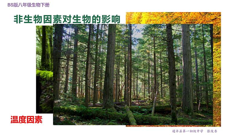 23.1 生物的生存依赖一定的环境 课件 北师大版八年级下册生物第6页