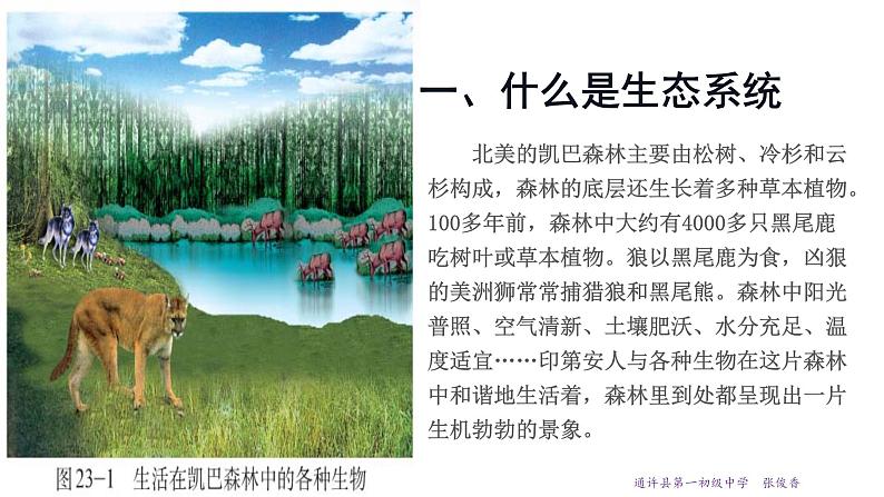 23.2 生态系统概述 课件 北师大版八年级下册生物02