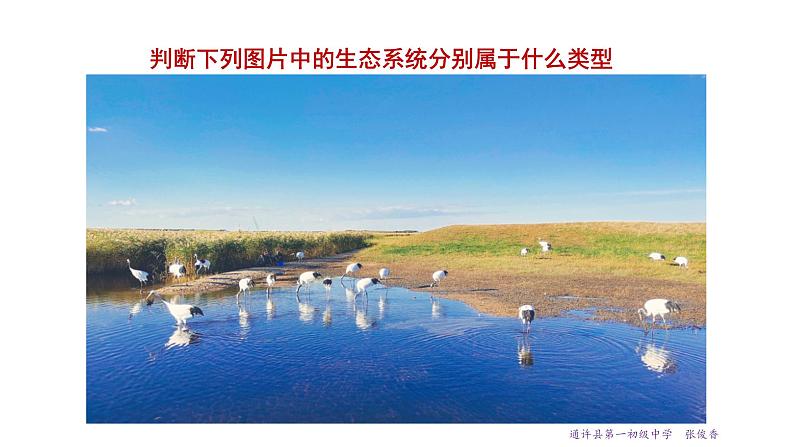 23.2 生态系统概述 课件 北师大版八年级下册生物06