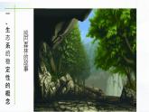 北师大版生物八下23.4《生态系统的稳定性》课件+教案+学案