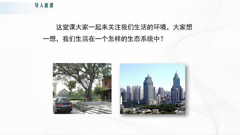 北师大版生物八下24.3《关注城市环境》课件+教案+学案02