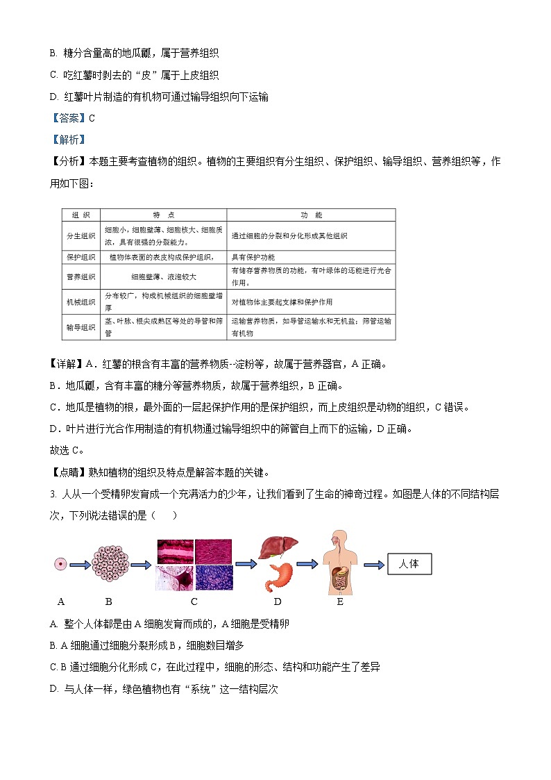 精品解析：2021年江苏省徐州市中考一模生物试题（解析版+原卷版）02