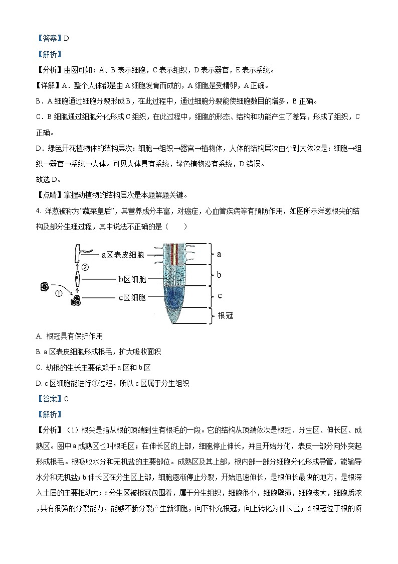 精品解析：2021年江苏省徐州市中考一模生物试题（解析版+原卷版）03