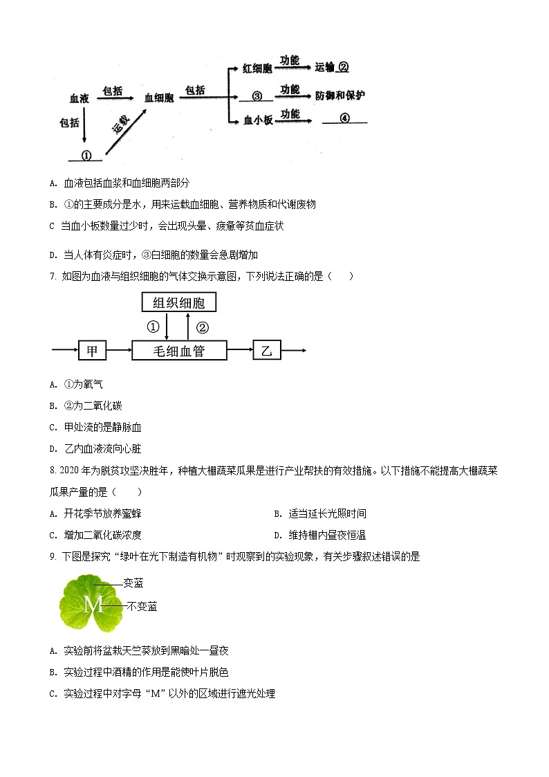 精品解析：2021年江苏省徐州市中考一模生物试题（解析版+原卷版）03