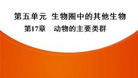 2021年中考广东专用生物一轮知识点复习第5单元 第17章  动物的主要类群　课件