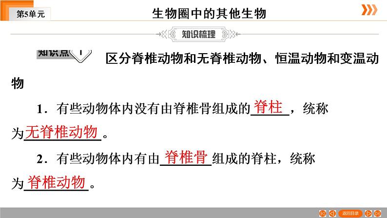 2021年中考广东专用生物一轮知识点复习第5单元 第17章  动物的主要类群　课件第6页