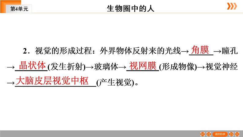 2021年中考广东专用生物一轮知识点复习第4单元 第15章　人体生命活动的调节  课件08