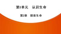 2021年中考广东专用生物知识点梳理复习第1单元 第2章　探索生命  课件