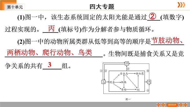 2021年中考广东专用生物一轮知识点复习第10单元 第31章 专题4 综合应用   课件07