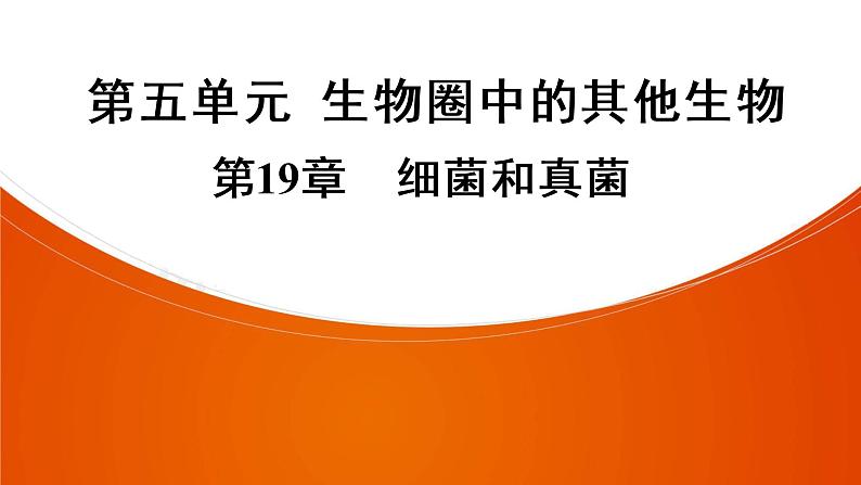 2021年中考广东专用生物一轮知识点复习第5单元 第19章　细菌和真菌  课件第1页