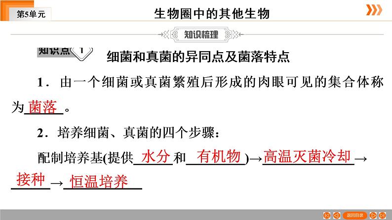 2021年中考广东专用生物一轮知识点复习第5单元 第19章　细菌和真菌  课件第6页