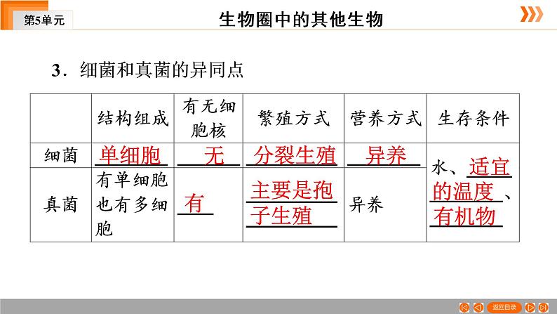 2021年中考广东专用生物一轮知识点复习第5单元 第19章　细菌和真菌  课件第7页