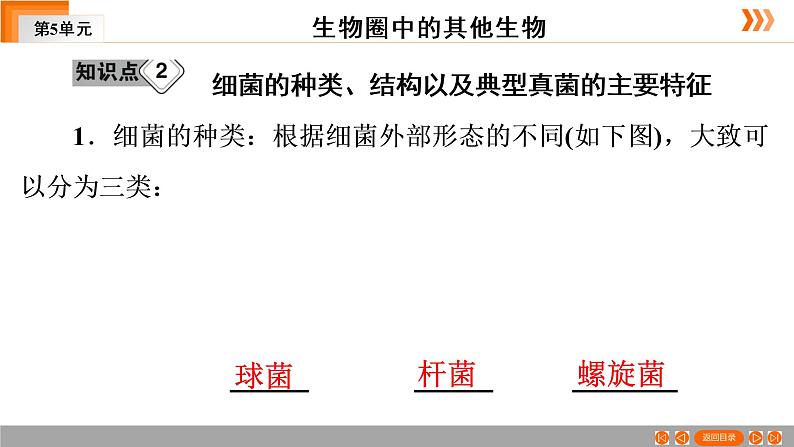 2021年中考广东专用生物一轮知识点复习第5单元 第19章　细菌和真菌  课件第8页