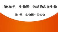 2021年中考广东专用生物知识点梳理复习第5单元 第17章　生物圈中的动物  课件