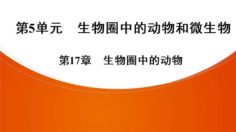 2021年中考广东专用生物知识点梳理复习第5单元 第17章　生物圈中的动物  课件01