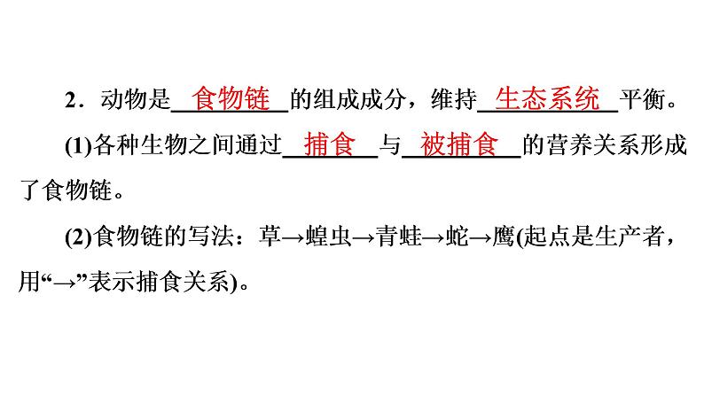 2021年中考广东专用生物知识点梳理复习第5单元 第17章　生物圈中的动物  课件08