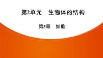 2021年中考广东专用生物知识点梳理复习第2单元 第3章　细胞  课件