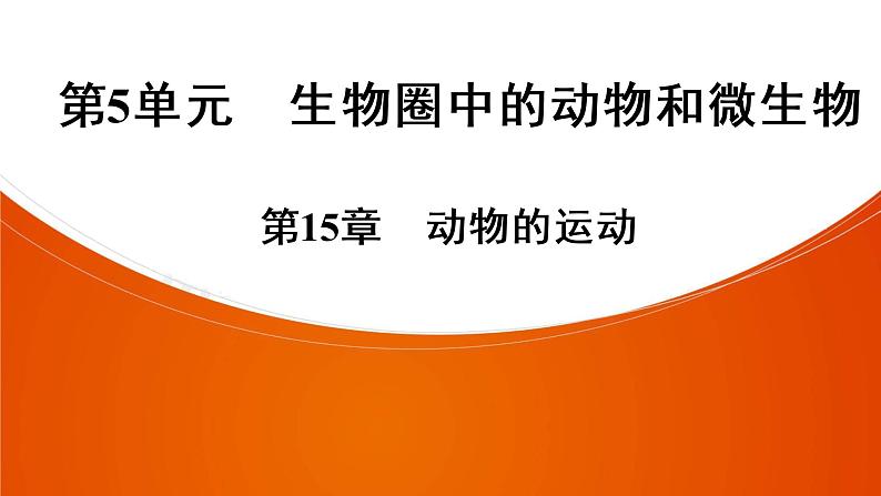 2021年中考广东专用生物知识点梳理复习第5单元 第15章　动物的运动  课件第1页