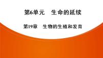 2021年中考广东专用生物知识点梳理复习第6单元 第19章　生物的生殖和发育  课件