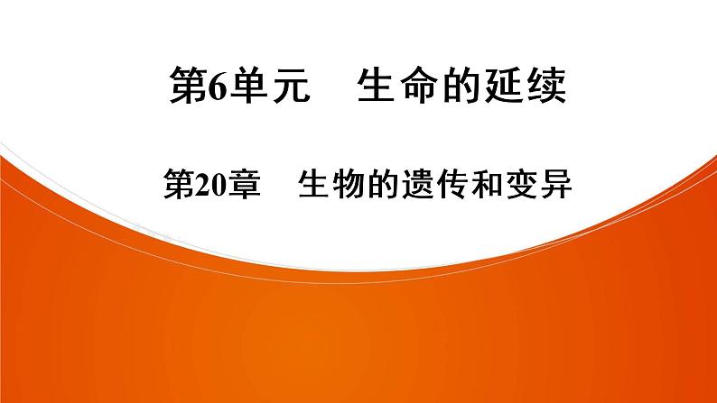 2021年中考广东专用生物知识点梳理复习第6单元 第20章　生物的遗传和变异  课件01