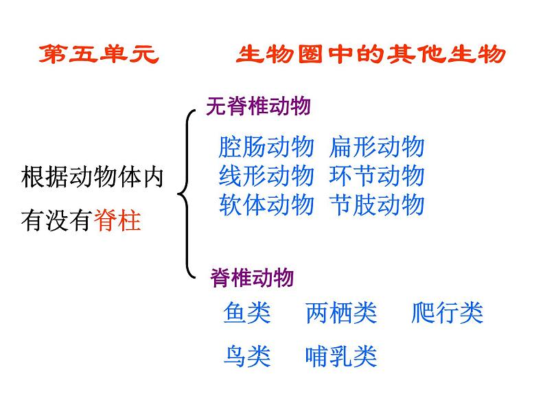 八年级生物上册总复习课件 (3)01