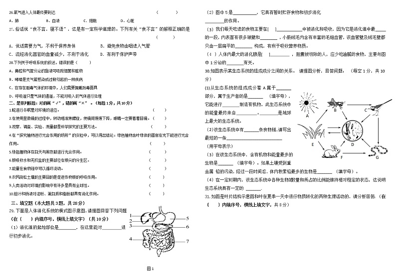 宁夏石嘴山市平罗县2021-2022年七年级上学期期末考试生物试题（word版 含答案）02