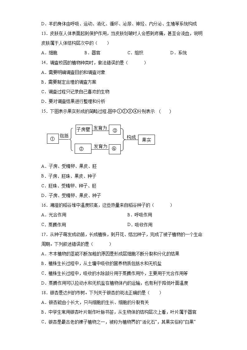 四川省眉山市青神县2021-2022学年七年级上学期期末生物试题（word版 含答案）03
