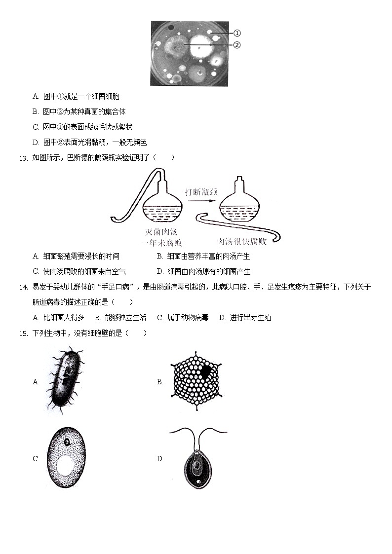 吉林省长春市朝阳区2021-2022学年上学期八年级期末生物试卷（word版 含答案）第2页