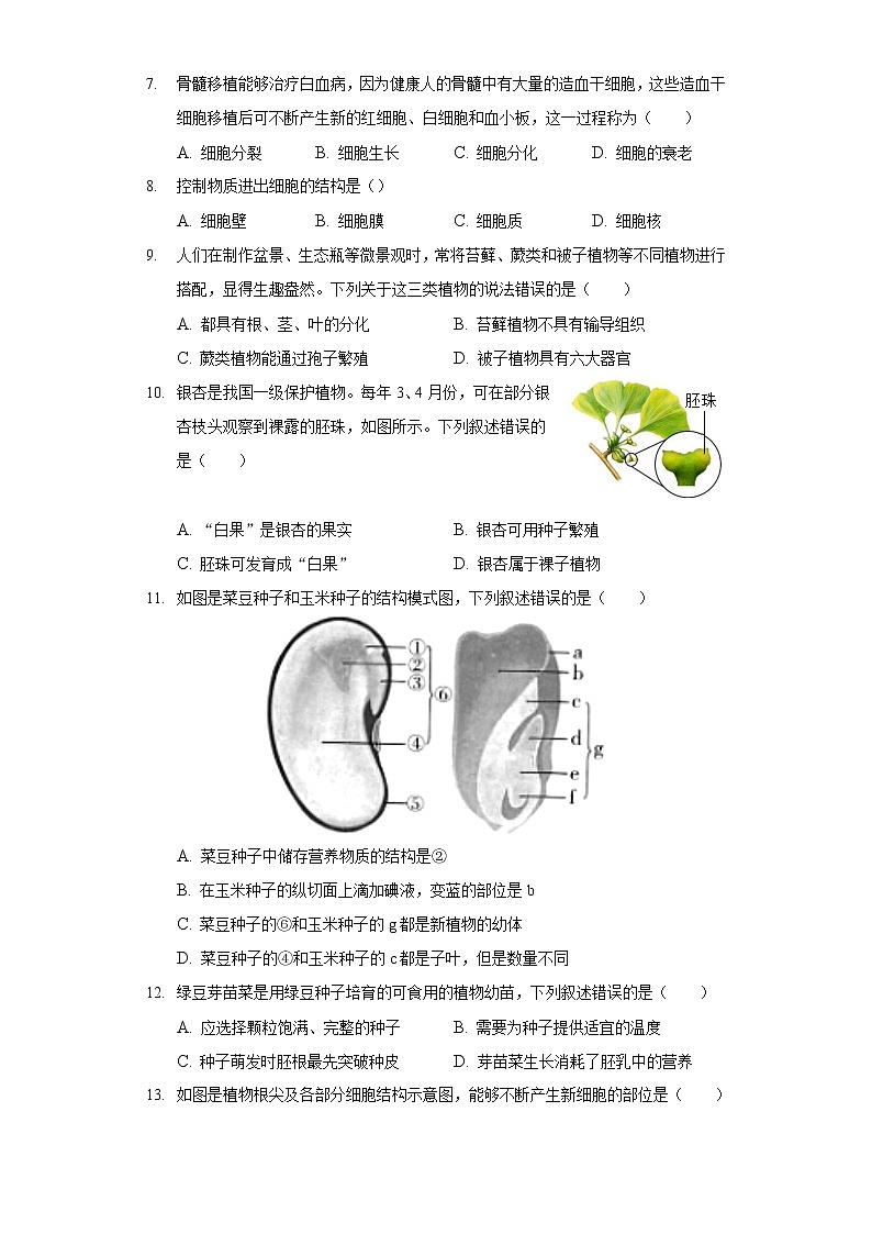 2021-2022学年北京市海淀区七年级（上）期末生物试卷02