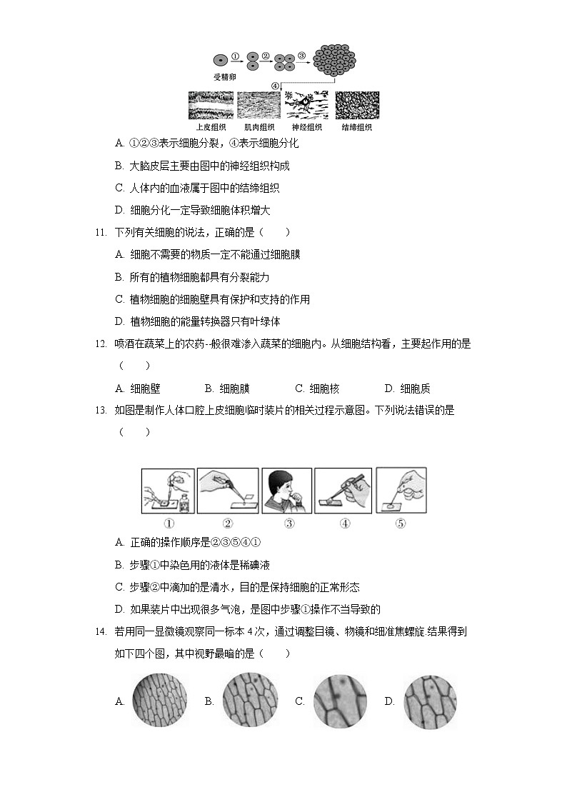 2021-2022学年广东省河源市紫金县七年级（上）期末生物试卷03