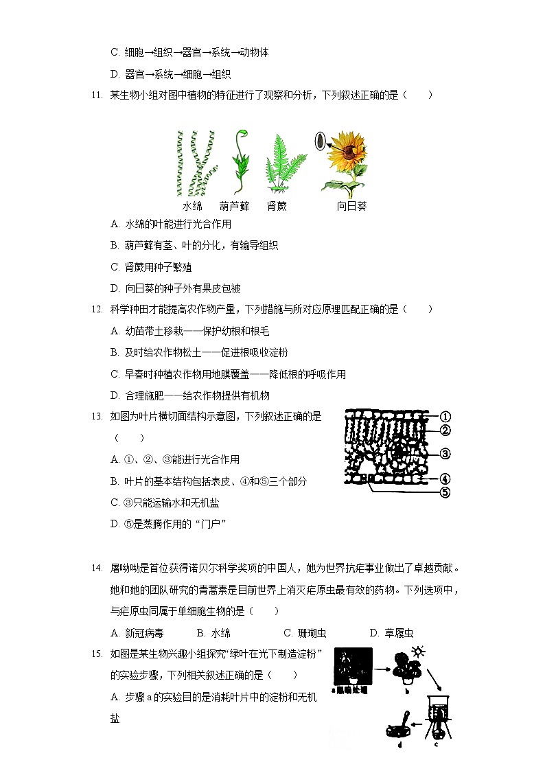 2021-2022学年辽宁省葫芦岛市兴城市七年级（上）期末生物试卷03