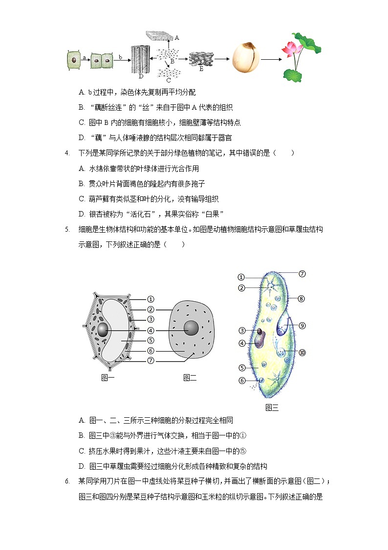 2021-2022学年四川省达州市七年级（上）期末生物试卷02