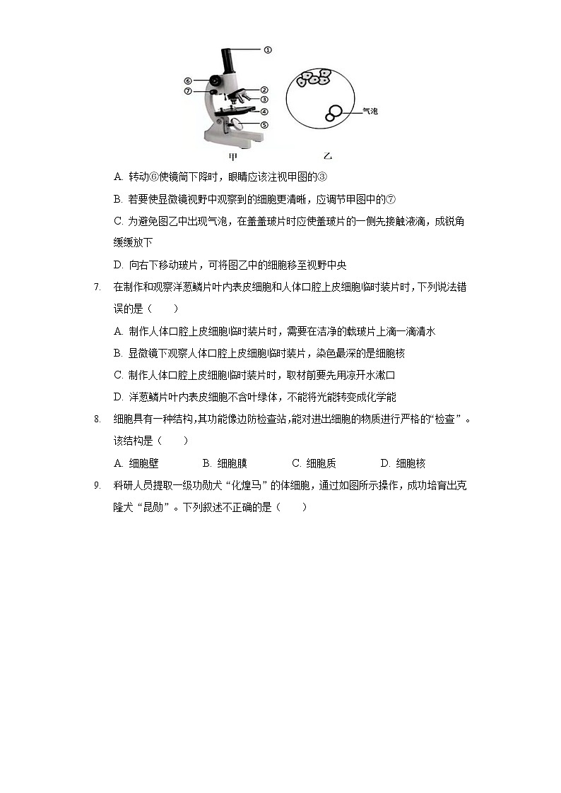 2021-2022学年河南省郑州外国语中学七年级（上）期末生物试卷02