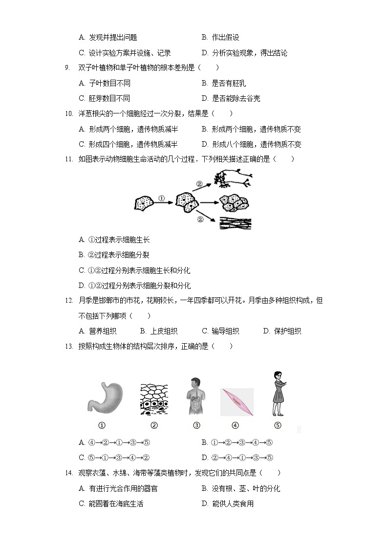 2021-2022学年河北省邯郸市广平县七年级（上）期末生物试卷02