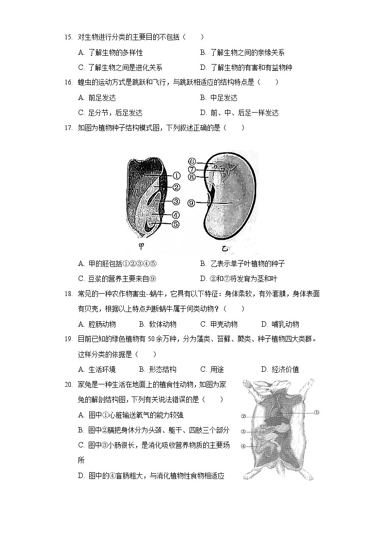 2021-2022学年河北省邯郸市广平县七年级（上）期末生物试卷03