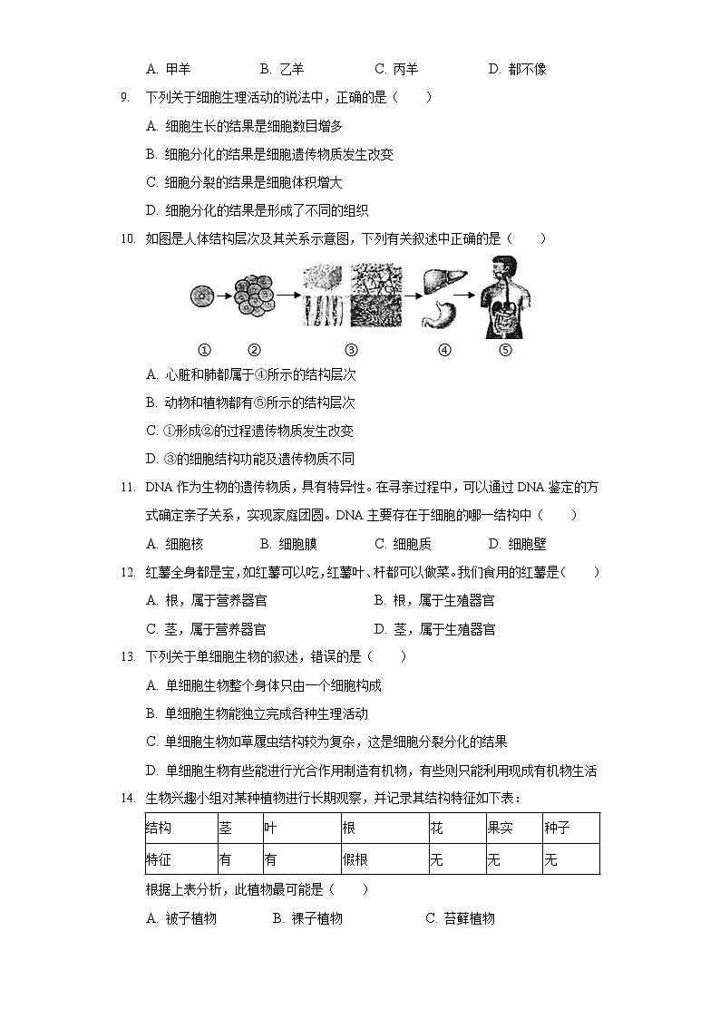2021-2022学年河南省开封市兰考县七年级（上）期末生物试卷02