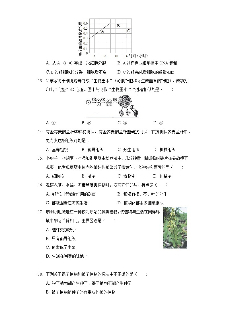 2021-2022学年河南省郑州八中七年级（上）期末生物试卷03
