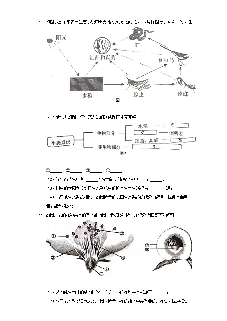 2021-2022学年辽宁省大连市旅顺口区七年级（上）期末生物试卷第3页