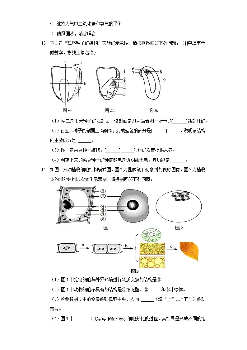 2021-2022学年辽宁省盘锦市大洼区七年级（上）期末生物试卷03