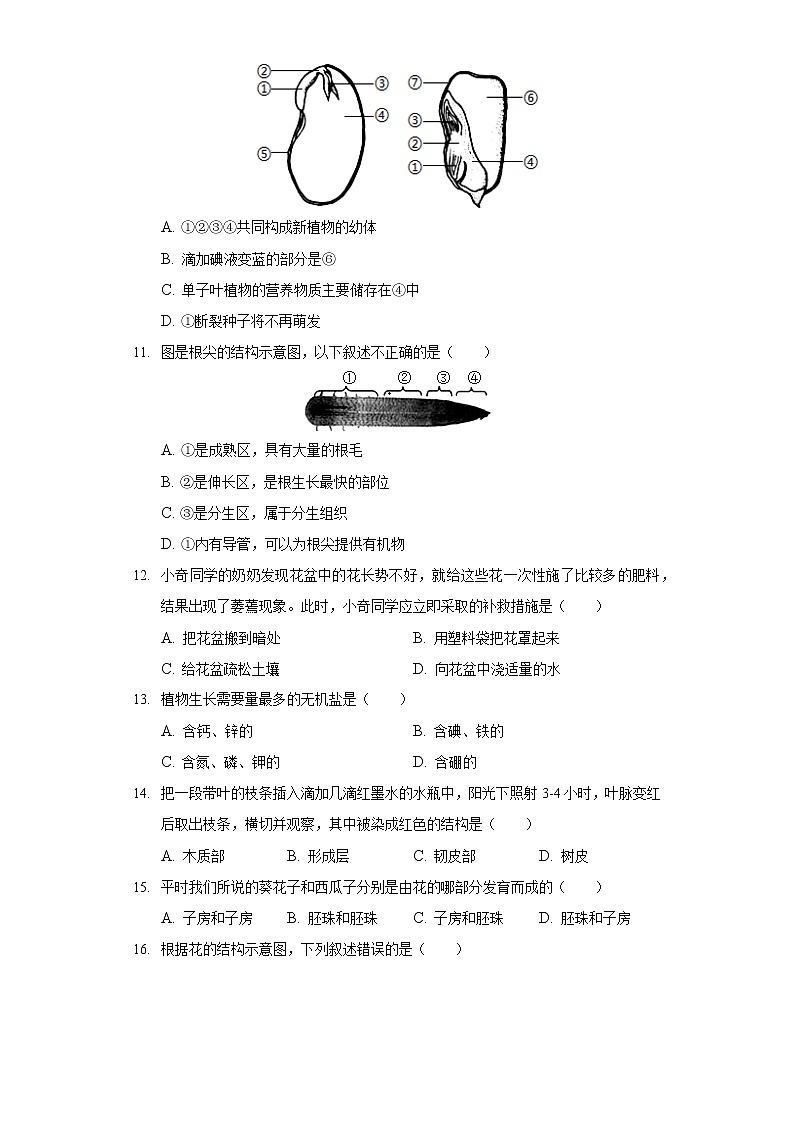 2021-2022学年河南省周口市川汇区七年级（上）期末生物试卷第3页