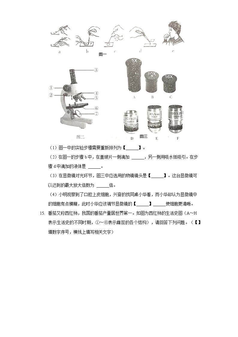 2021-2022学年辽宁省沈阳市和平区、苏家屯区七年级（上）期末生物试卷03
