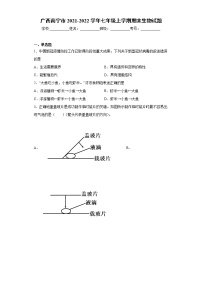 广西南宁市2021-2022学年七年级上学期期末生物试题（word版 含答案）